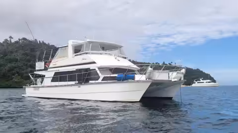 charter catamaran for sale