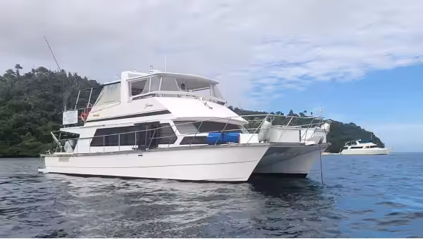 Charter Catamaran for sale