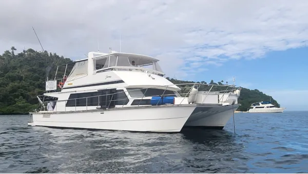 Charter Catamaran for sale